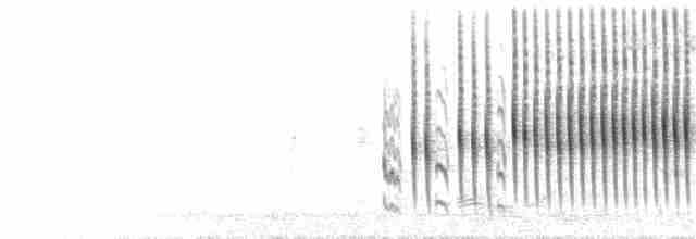 Weißbrust-Dickichtschlüpfer - ML72282231