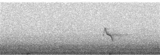 Evening Grosbeak (type 1) - ML72350951