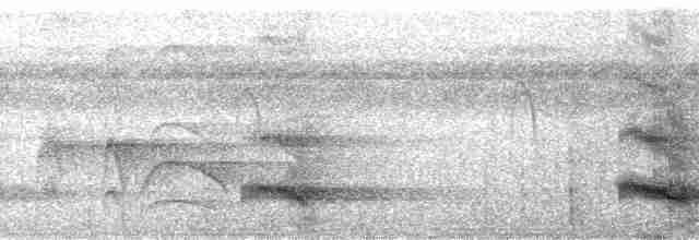 Channel-billed Toucan (Channel-billed) - ML72380