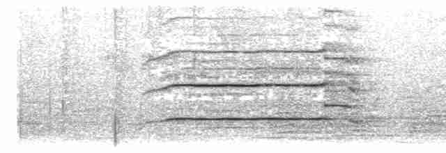 Хохлатая агуйя-отшельник - ML724050