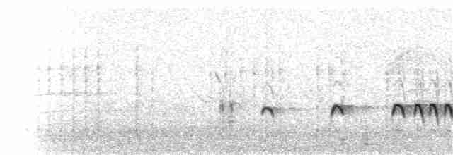 Chaparralgrasmücke - ML72412551