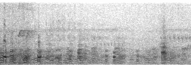 Квак широкодзьобий (підвид cochlearius/panamensis) - ML72478