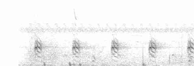 Spot-flanked Barbet - ML72594161