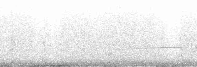 Белокрылый корхан - ML72595