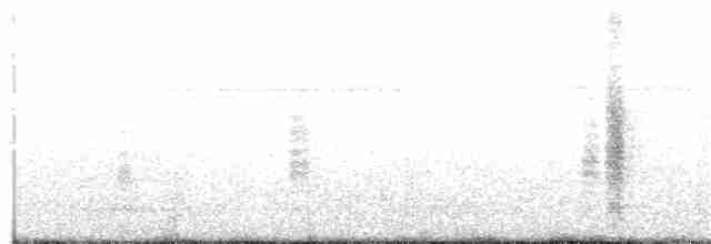 Fiji Woodswallow - ML72613151