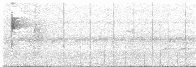 Серогрудый тенелюб - ML72626621