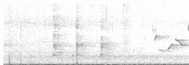 Каролинский крапивник - ML72702631