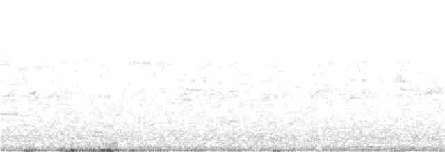 オウム目（インコ科 小さな種） - ML72787721