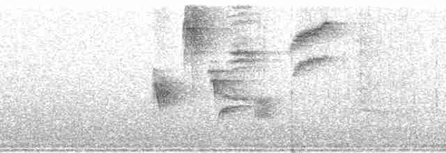 Turuncu Gagalı Bülbül Ardıcı [melpomene grubu] - ML72811