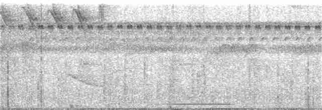 holub bledoprsý - ML72811231