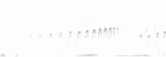 Puna Thistletail - ML72814561