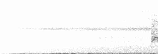 Краснохвостый канюк (kemsiesi/hadropus) - ML72868791