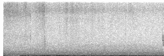 Hermit Thrush (guttatus Group) - ML72892201