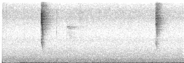 Pacific Wren (pacificus Group) - ML72892971