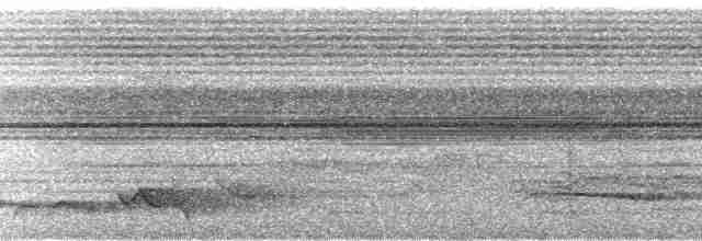 Дятел-коротун смугастокрилий - ML72973