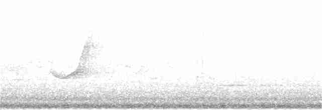 Gray Fantail - ML72984601