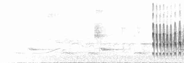 Kara Başlı Dikenkuyruk - ML73016521