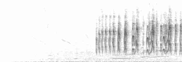 Strichelbrust-Dickichtschlüpfer - ML73023461