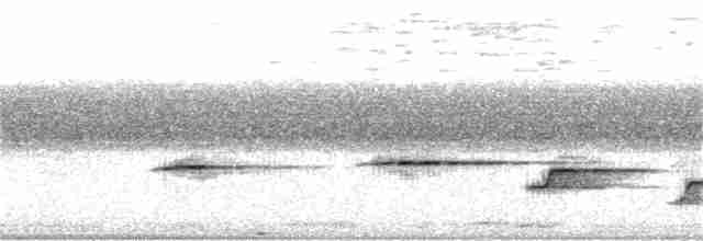 Gray Whistler - ML73052181