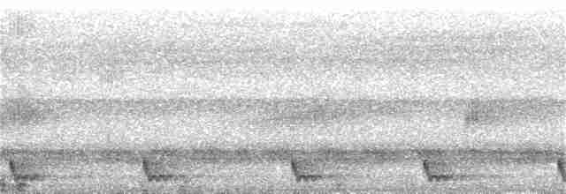 Large-tailed Nightjar - ML73177141