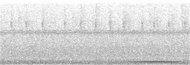 holub bledoprsý - ML73226011
