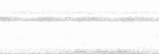 svartkronesmett (castaneus gr.) - ML73264