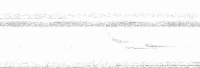 Черноголовый крапивник [группа castaneus] - ML73265