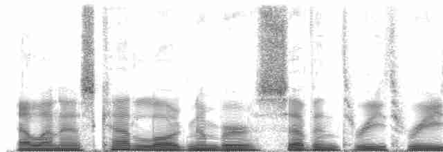  - Mascarene Paradise-Flycatcher