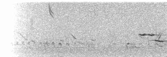 Chihuahuan Meadowlark - ML73375711