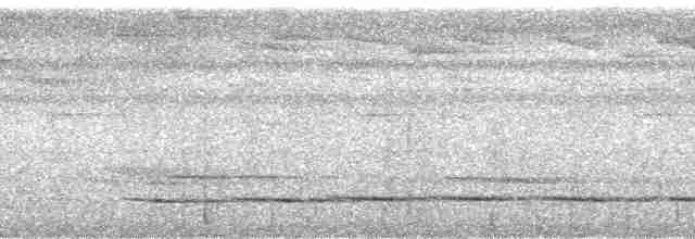Streak-chested Antpitta (Pacific Slope) - ML73453