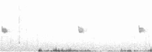 Каньонный крапивник - ML73560671