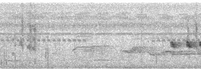 Silver-eared Mesia - ML73605