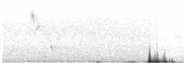 Spotless Starling - ML73620361