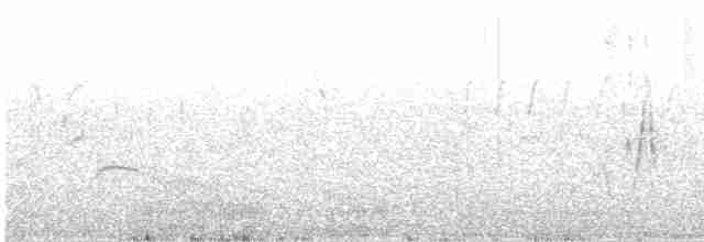 Gray-hooded Sierra Finch - ML73639511