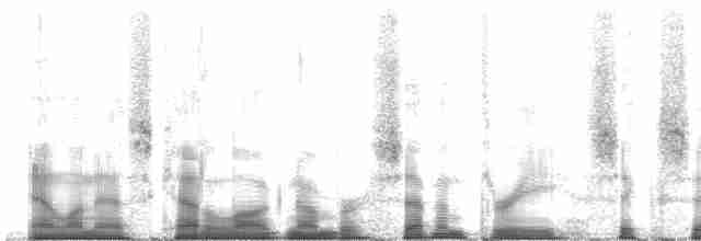 Diard Trogonu - ML73661
