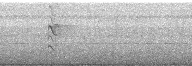 Черноногий сокол-крошка - ML73671