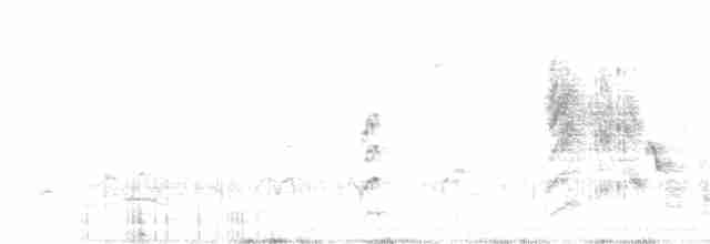 Long-tailed Shrike - ML73682131