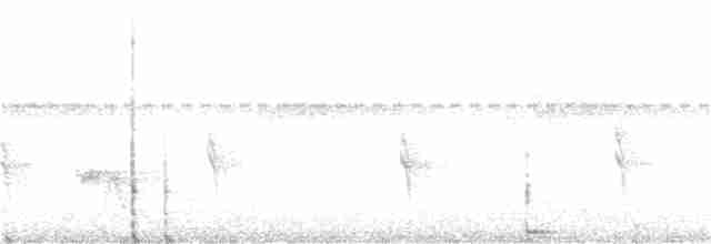 Yellow-legged Tinamou - ML73764351