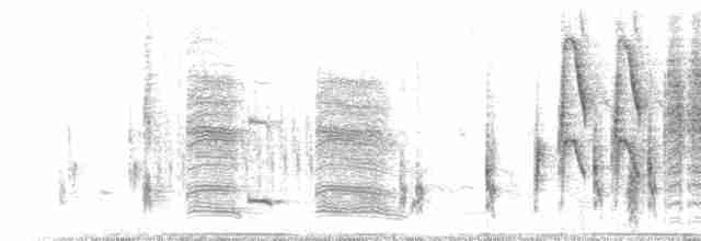 Troglodyte des marais - ML73801