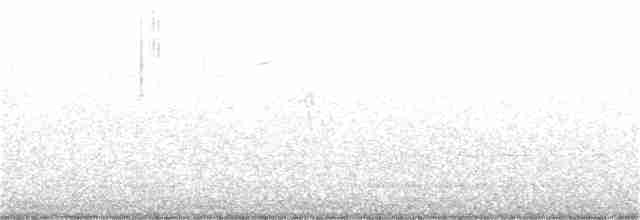 Cuervo Pescador - ML73845041