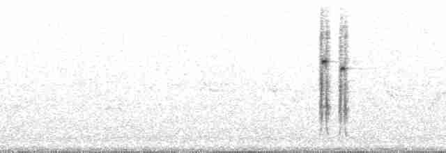 strakapoud bělohlavý - ML73859
