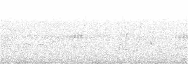 Russet Bush Warbler - ML73892671