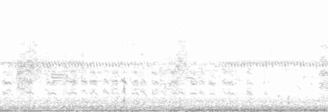Приморская овсянка-барсучок - ML73899