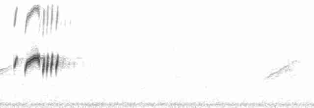 Серый тиранн - ML73900