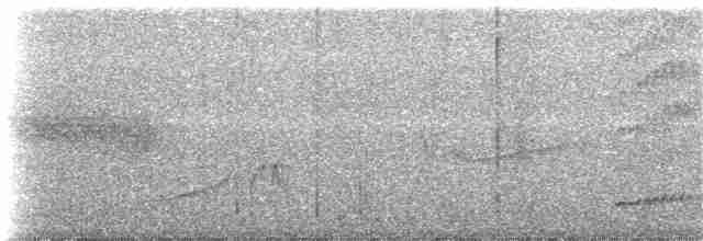 Серогрудый крючкоклюв - ML73918271