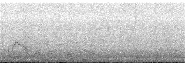 Eurasian Wigeon - ML73929481