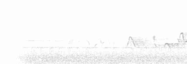 Дятел-смоктун червоноголовий - ML73936891