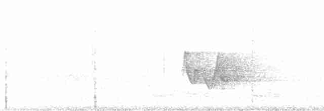 Paruline à capuchon - ML73938