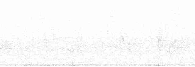 Cerulean Warbler - ML73952