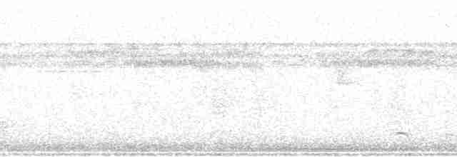 Черноголовый крапивник [группа castaneus] - ML74082
